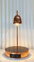 Commercial Rose Gold Stainless Steel Double Heads Food Heat Lamp Digital Control Electric Food Warming Plate for Buffet
