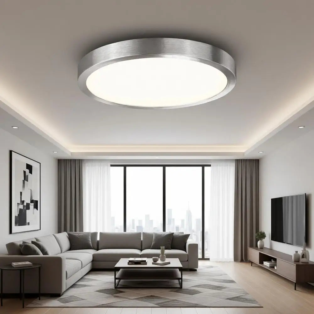 10 Inch LED Ceiling Light Fixture, Super Slim Mount Light for Kitchen, Metal and Glass LED Ceiling Light for Low Ceiling, Hallwa