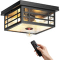 Motion Sensor Outdoor Ceiling Light with Remote Control, Black Porch Lighting with Seed Glass, Outside Mount Lights or Garage, E