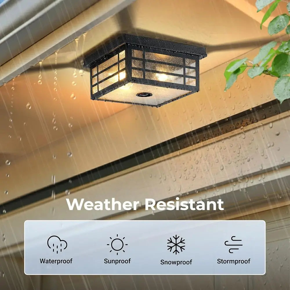 Motion Sensor Outdoor Ceiling Light with Remote Control, Black Porch Lighting with Seed Glass, Outside Mount Lights or Garage, E