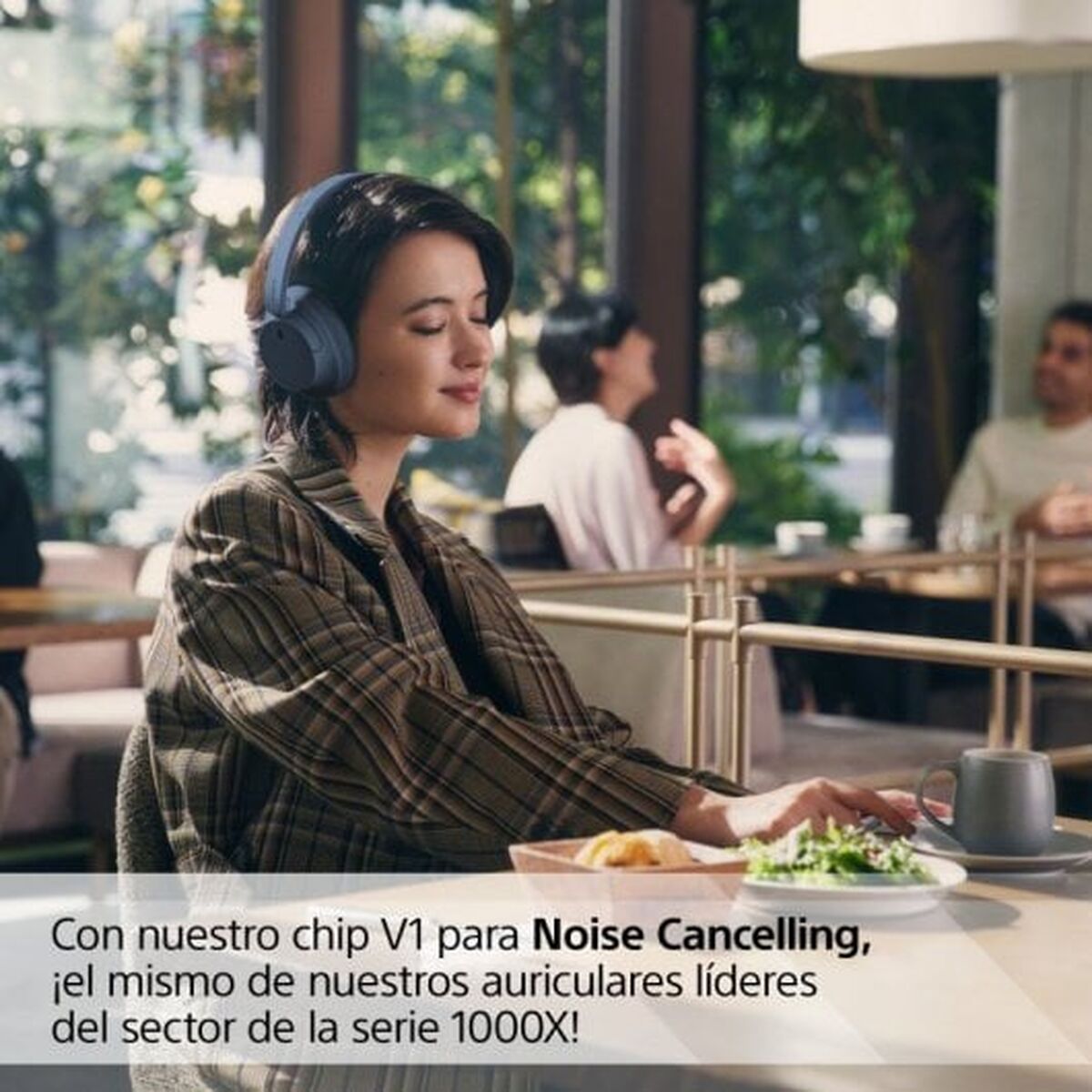 Headphones Sony WH-CH720