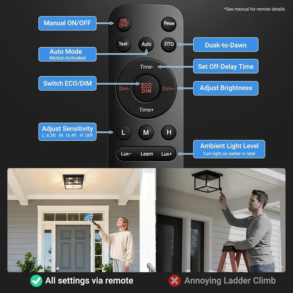 Motion Sensor Outdoor Ceiling Light with Remote Control, Black Porch Lighting with Seed Glass, Outside Mount Lights or Garage, E