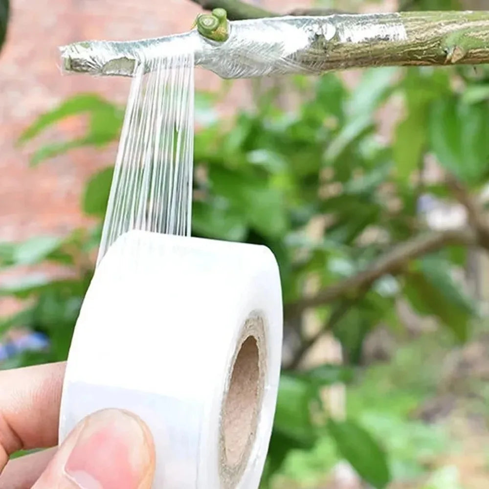 200M PE Grafting Tape Film Self-adhesive for Fruit Tree Nursery Plants Seedlings Vine Floristry Tomato Grafting Supplies Stretch