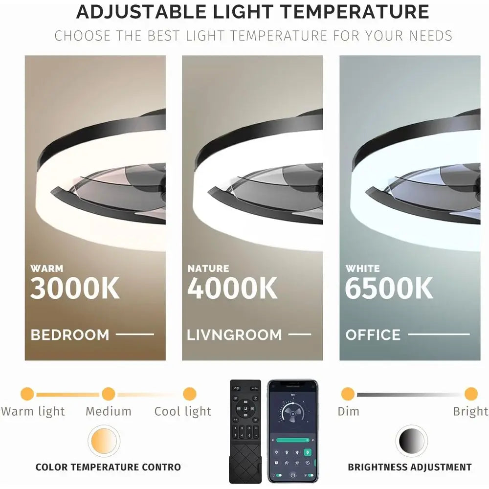 19.7 inch Low Profile Ceiling Fan with Lights and Remote, Dimmable Ceiling Fan for Bedroom, Dining Room and Kitchen (Black, 1 Pa