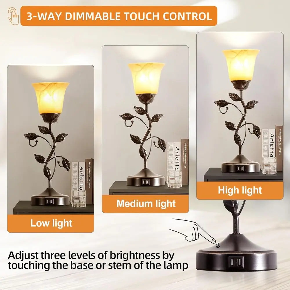 3-Way Dimmable LED Table Lamp with 2 USB Ports, Amber Glass Shade, Suitable for Living Room, Bedroom, and More (Bronze)